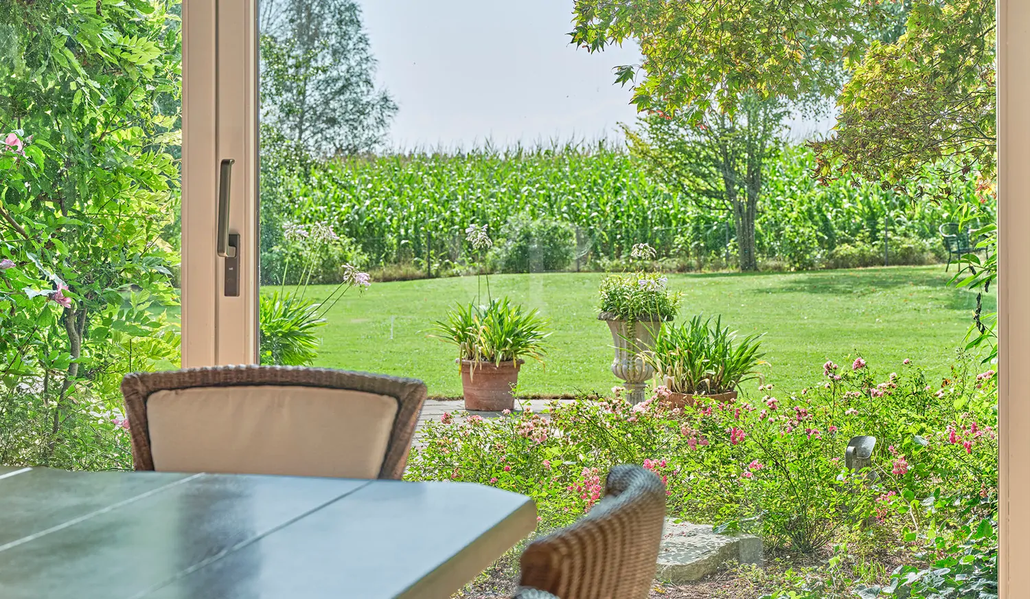 Blick vom Essbereich in den Garten