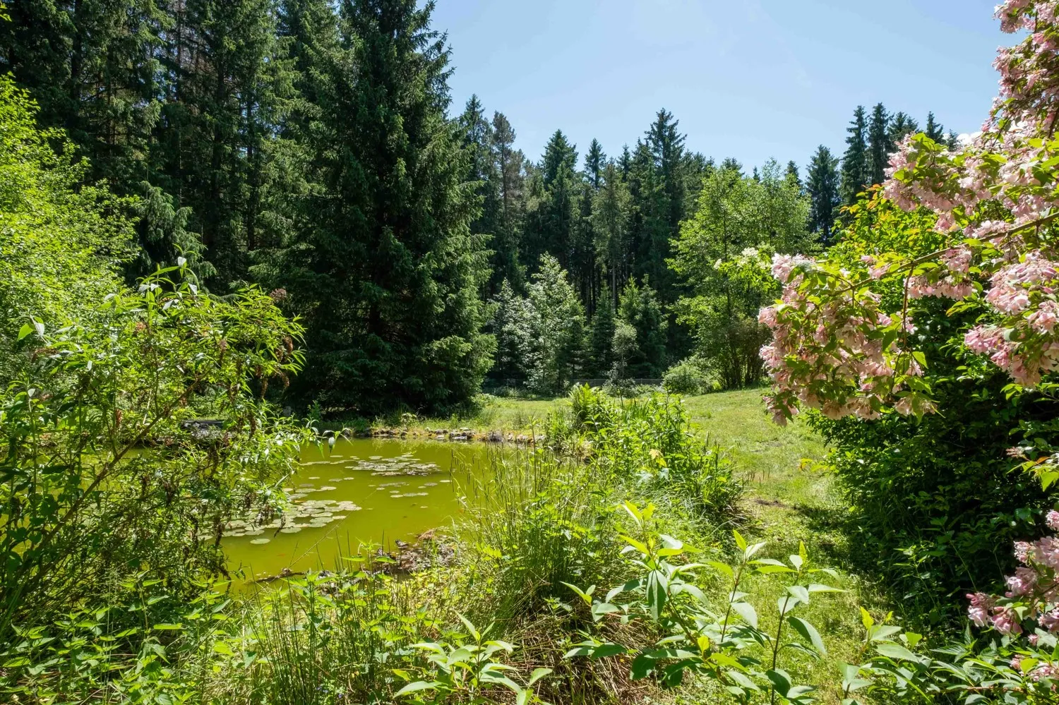 Natur pur: Einfamilienhaus in Alleinlage