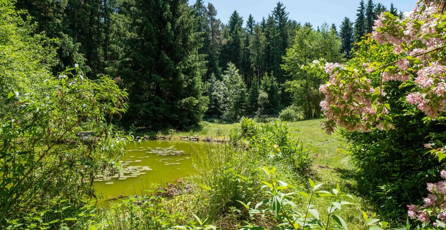 6900 m² Natur pur: Einfamilienhaus in Alleinlage – Ihr Rückzugsort in den Nicklheimer Filzen