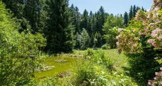 von_poll_real_estate_property_25042017_image_1