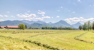 von_poll_real_estate_property_25042020_image_0