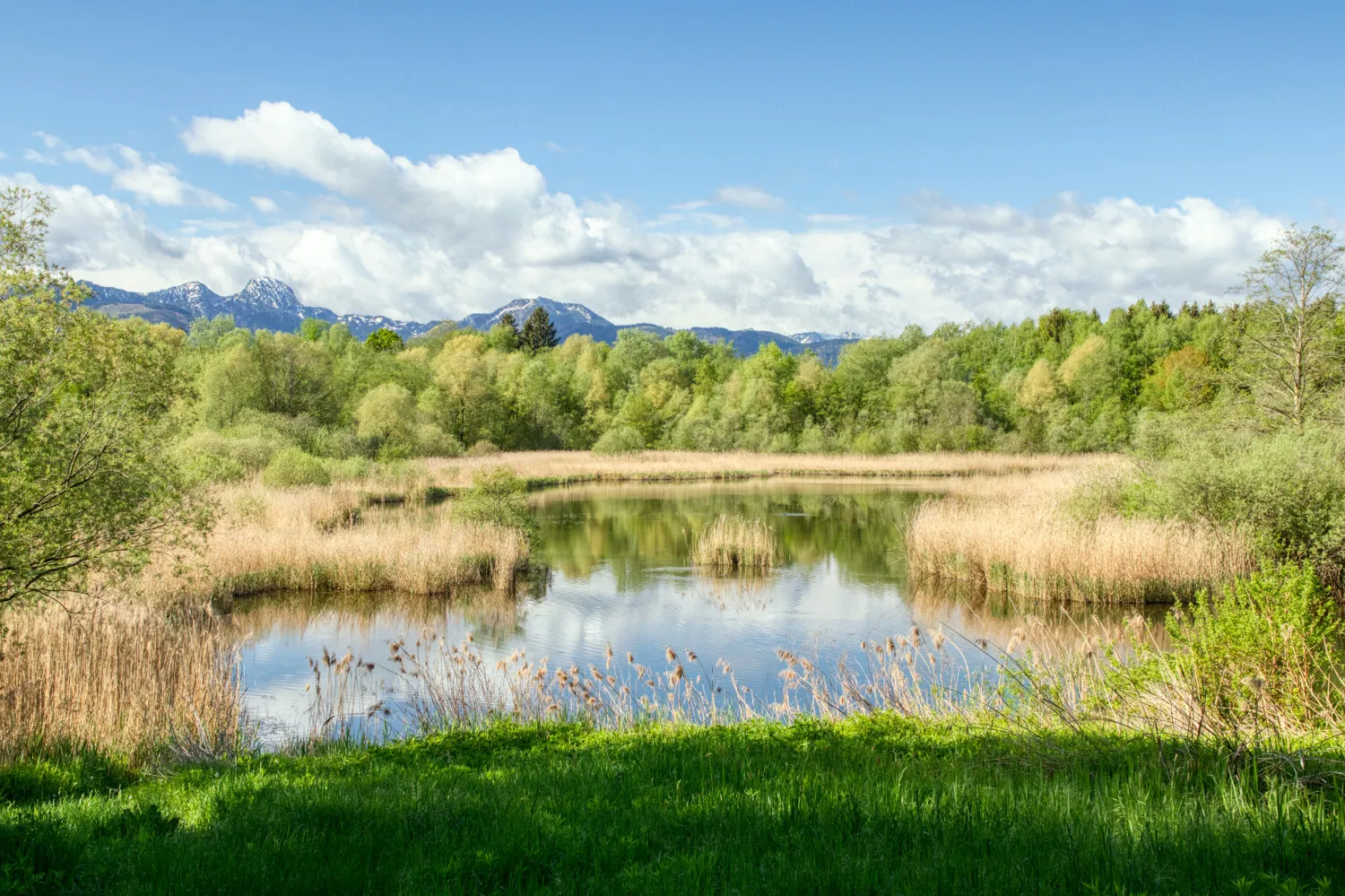 Naherholungsgebiet am Tonwerkweiher in unmittelbarer Nähe