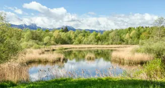 von_poll_real_estate_property_26042001_image_14