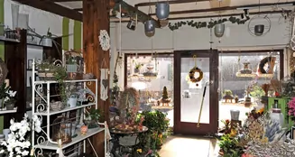 von_poll_real_estate_property_22145154_3_image_3