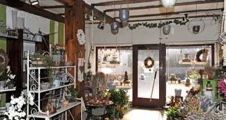 von_poll_real_estate_property_22145154_3_image_3