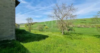 von_poll_real_estate_property_23145187_2_image_16