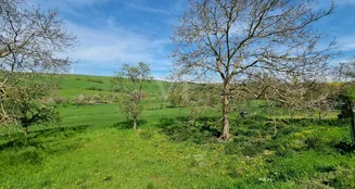 von_poll_real_estate_property_23145187_2_image_13