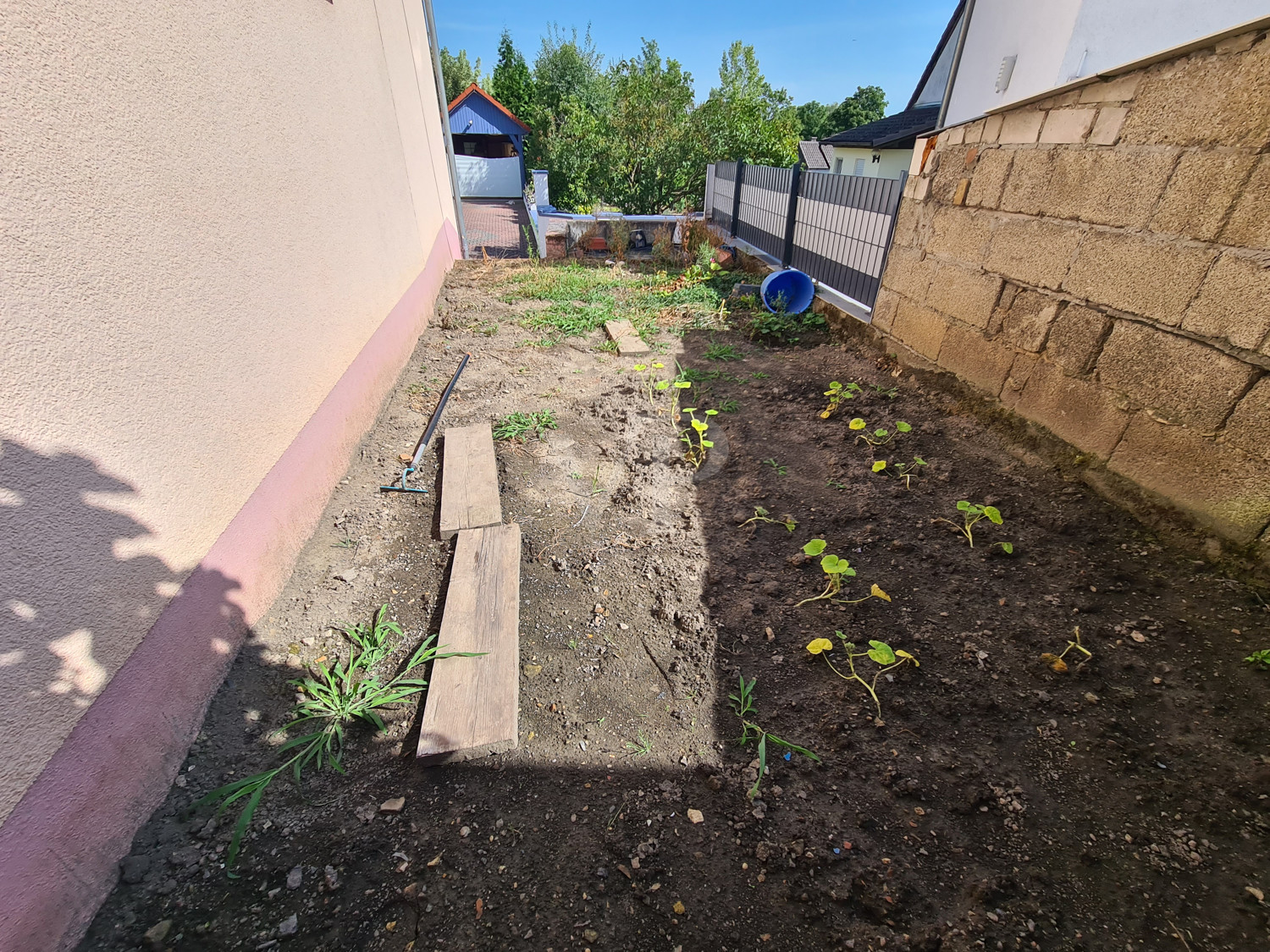 29 m² großer (kleiner) Garten, ca. 50 m entfernt