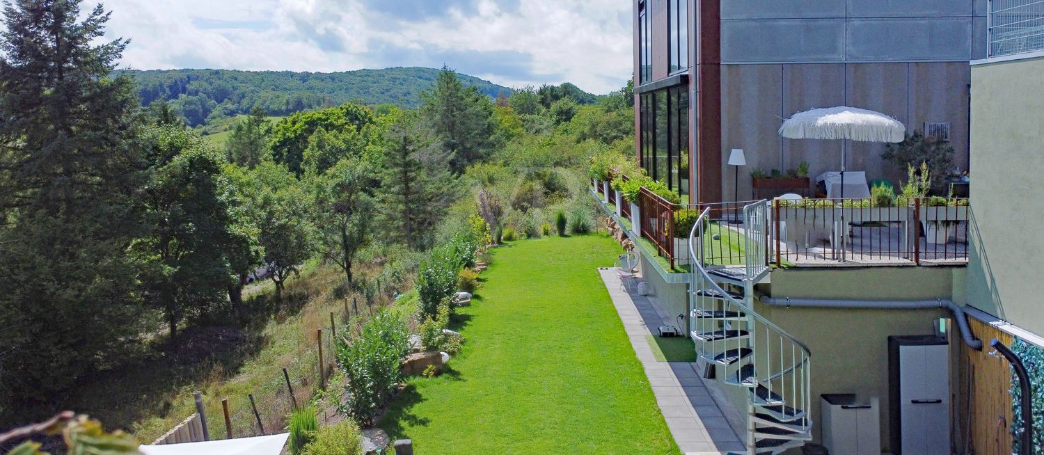 Gartenansicht Sommer 2025