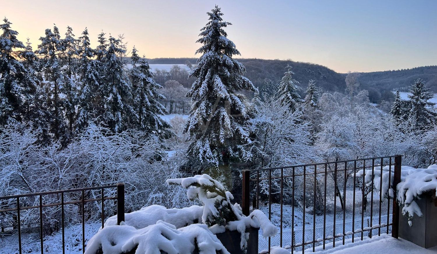 Winterimpression Januar 2024