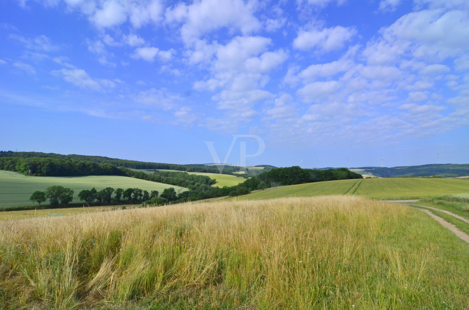 Umgebung Sommer 2025