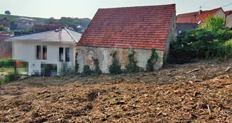 von_poll_real_estate_property_25145254_image_9