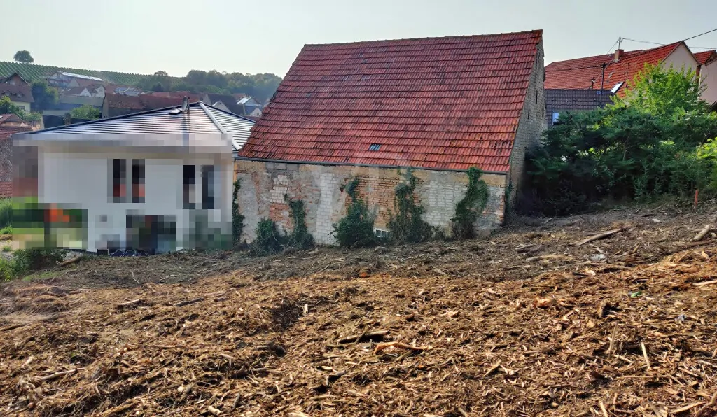 Blickrichtung Nordwest im Sommer 2021