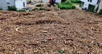 von_poll_real_estate_property_25145254_image_11