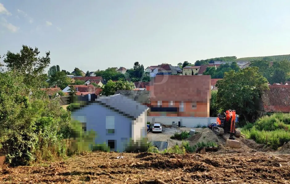 Blickrichtung Westen im Sommer 2021