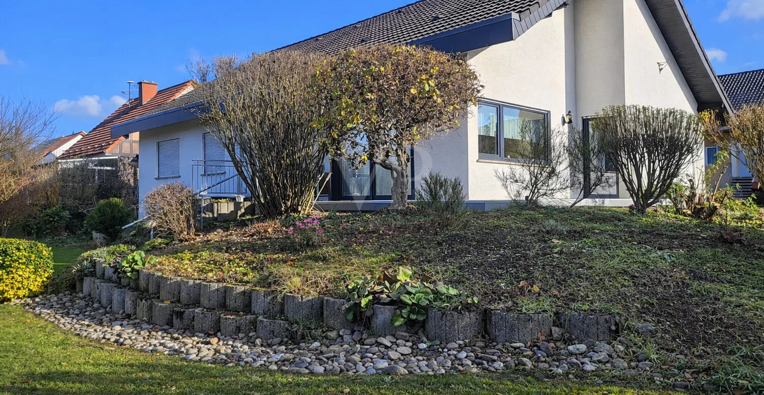 Sommerimpression Garten 2025