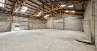 von_poll_real_estate_property_25145266_1_image_5