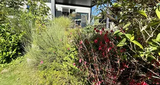 von_poll_real_estate_property_25141041_image_15