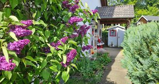 von_poll_real_estate_property_25141009a_image_23