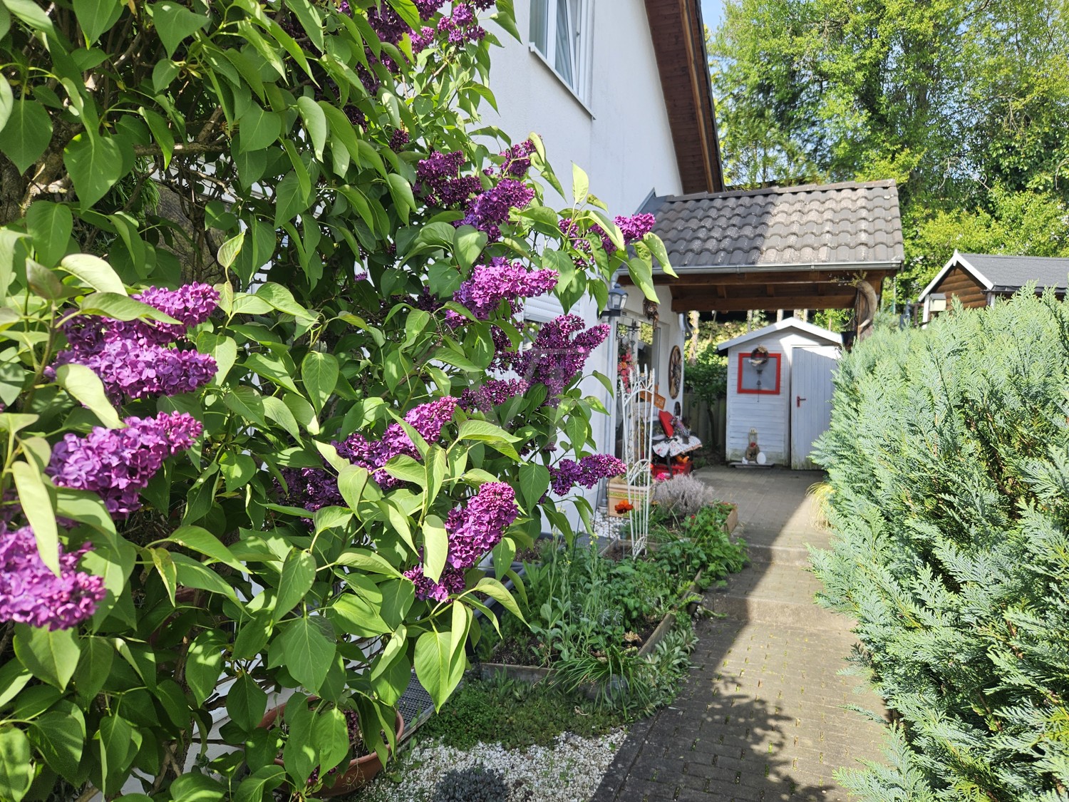 Zugang zum Haus