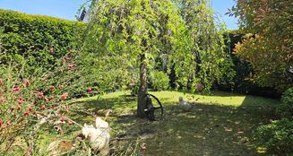 von_poll_real_estate_property_25141027_image_28