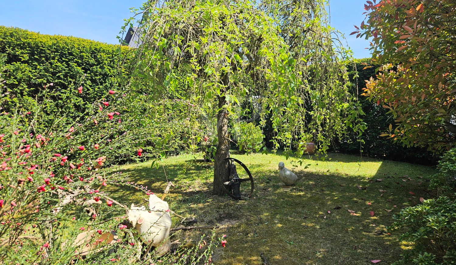Grüne Idylle