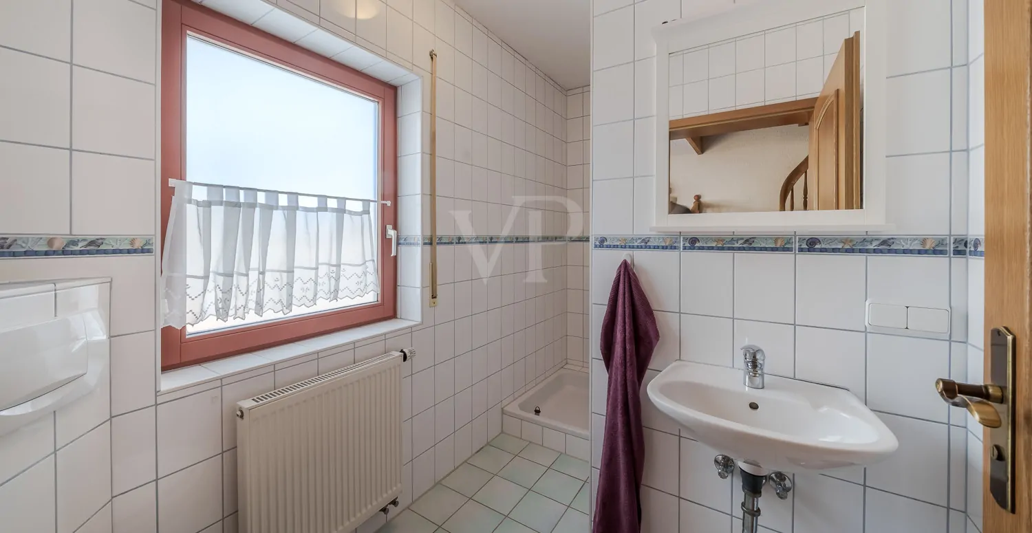 Gästeduschbad im Erdgeschoss