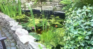 von_poll_real_estate_property_25141065_image_19