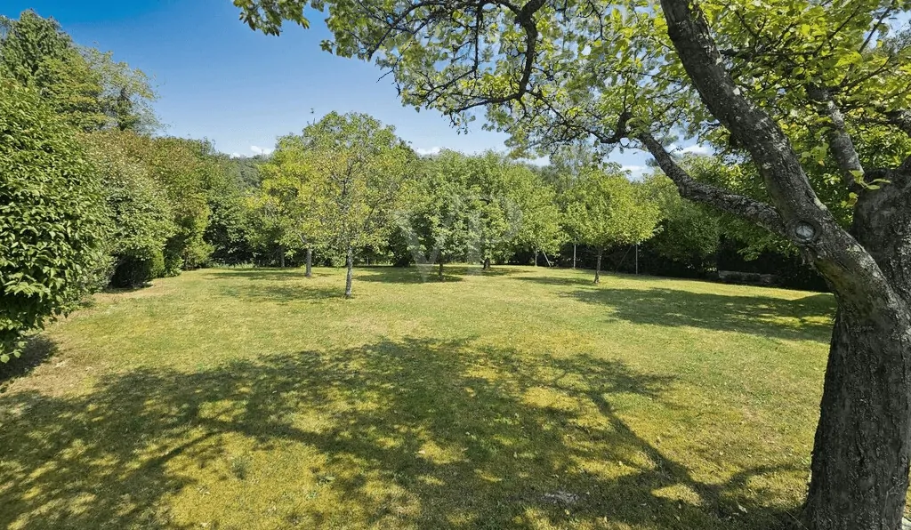 Schöner großer Garten