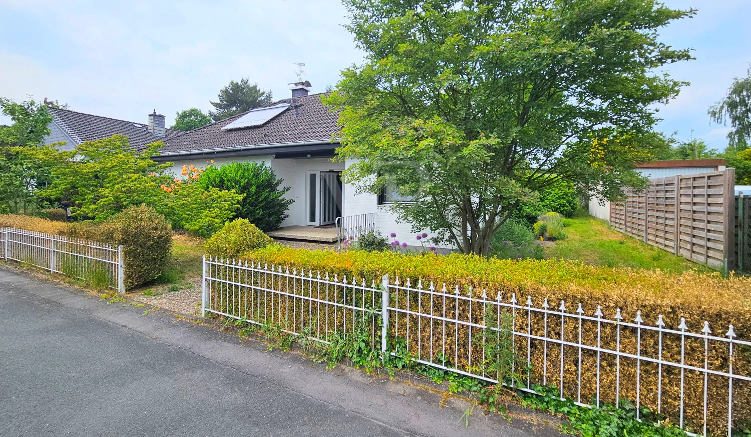 Schön eingewachsener Vorgarten