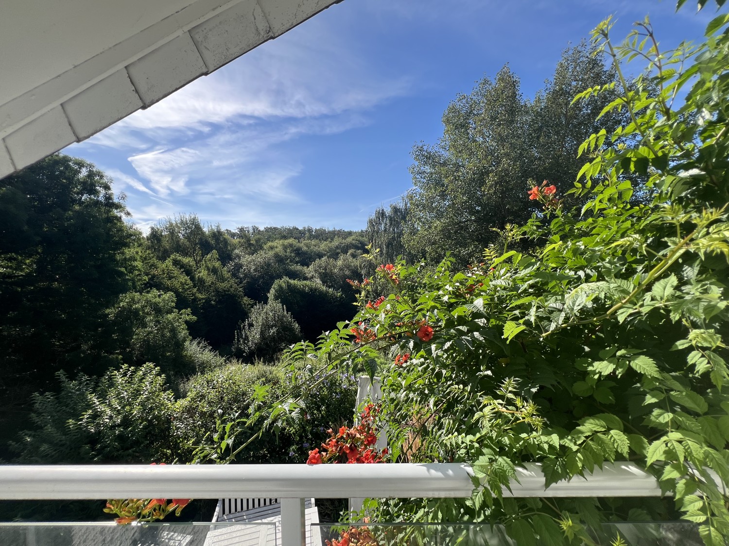 Blick aus dem Schlafzimmerfenster