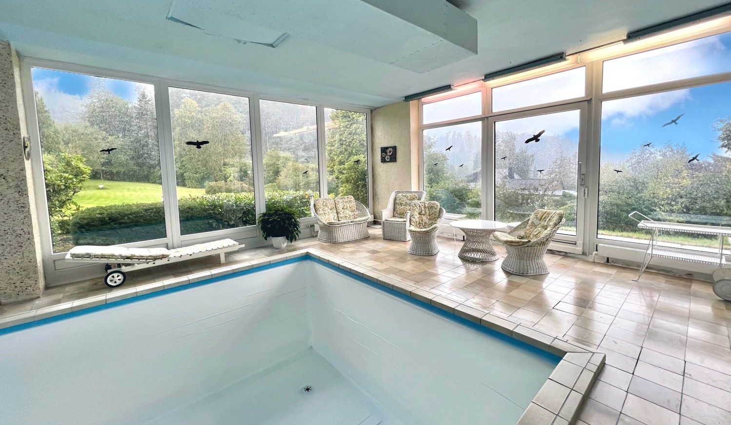 Pool mit Blick in den Garten