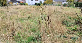 von_poll_real_estate_property_24141052a_image_2