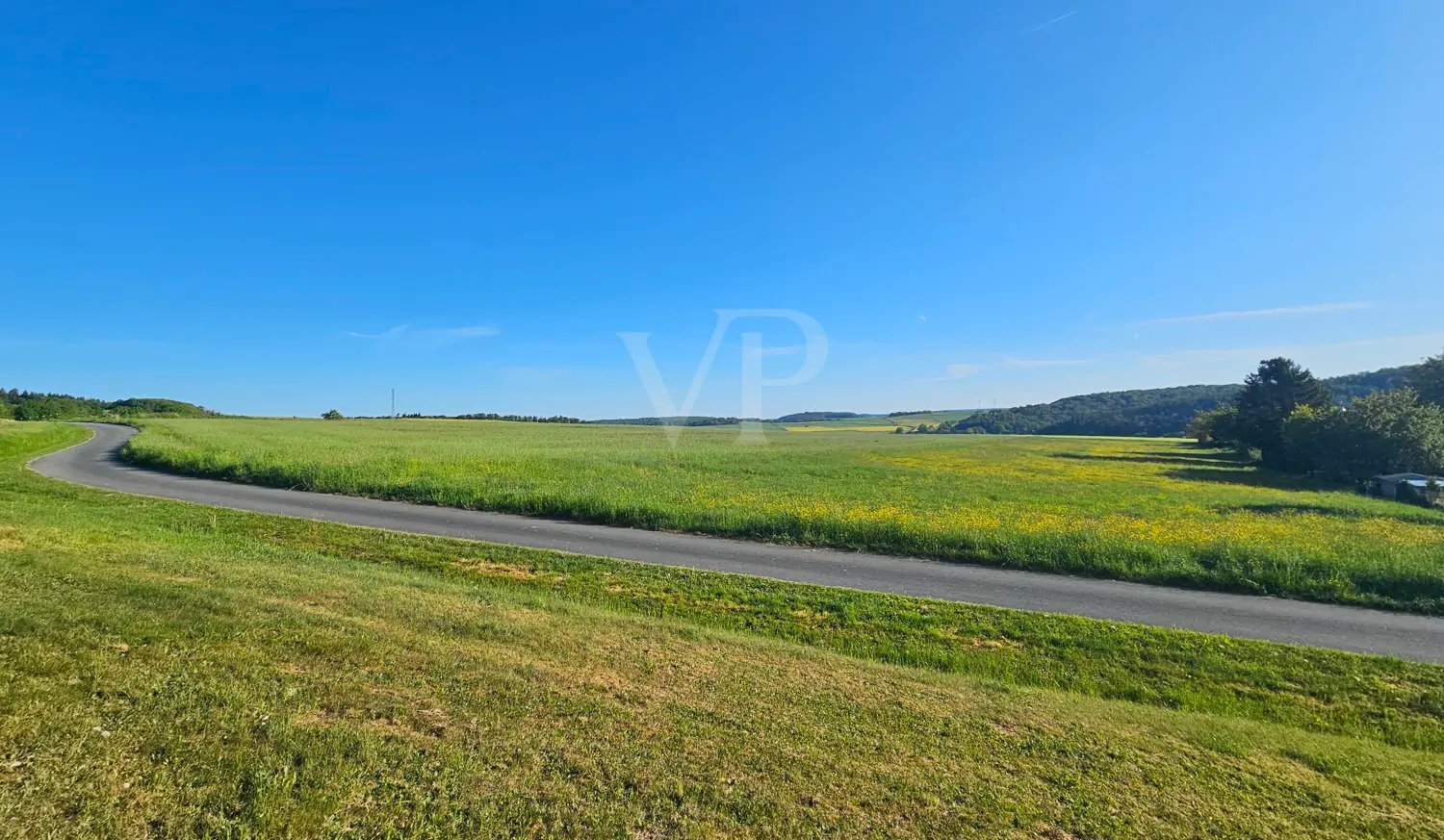 Natur vor der Haustür