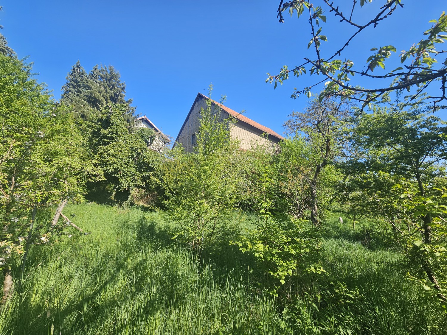 Großzügiges Grundstück