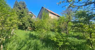 von_poll_real_estate_property_25141020_image_2