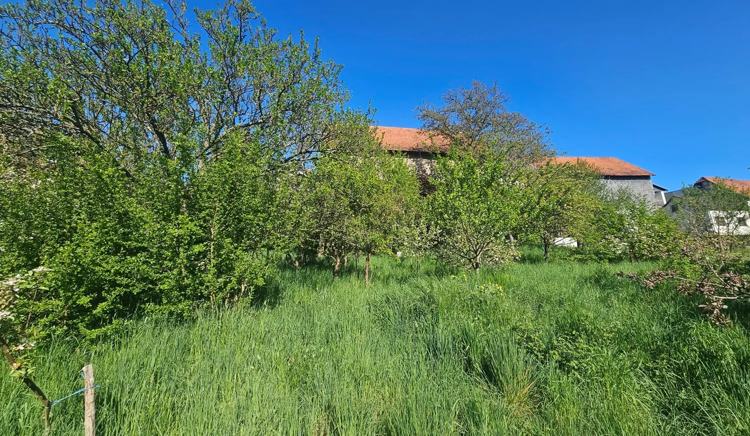 Grundstück mit Bestandsimmobilie