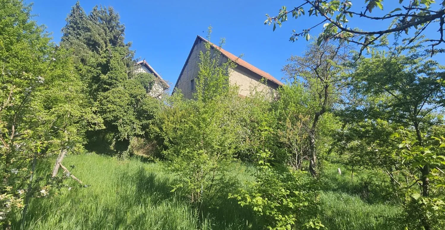 Großzügiges Grundstück