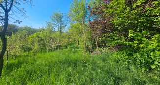 von_poll_real_estate_property_25141020_image_1