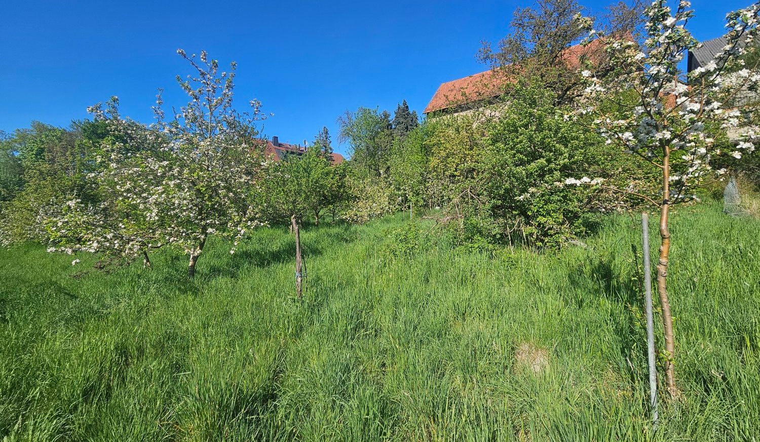 Blick zur Scheune