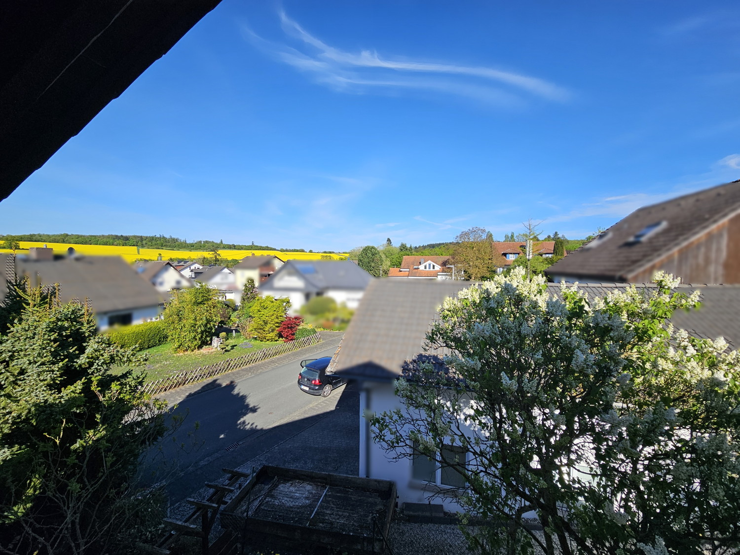 Blick ins Grüne