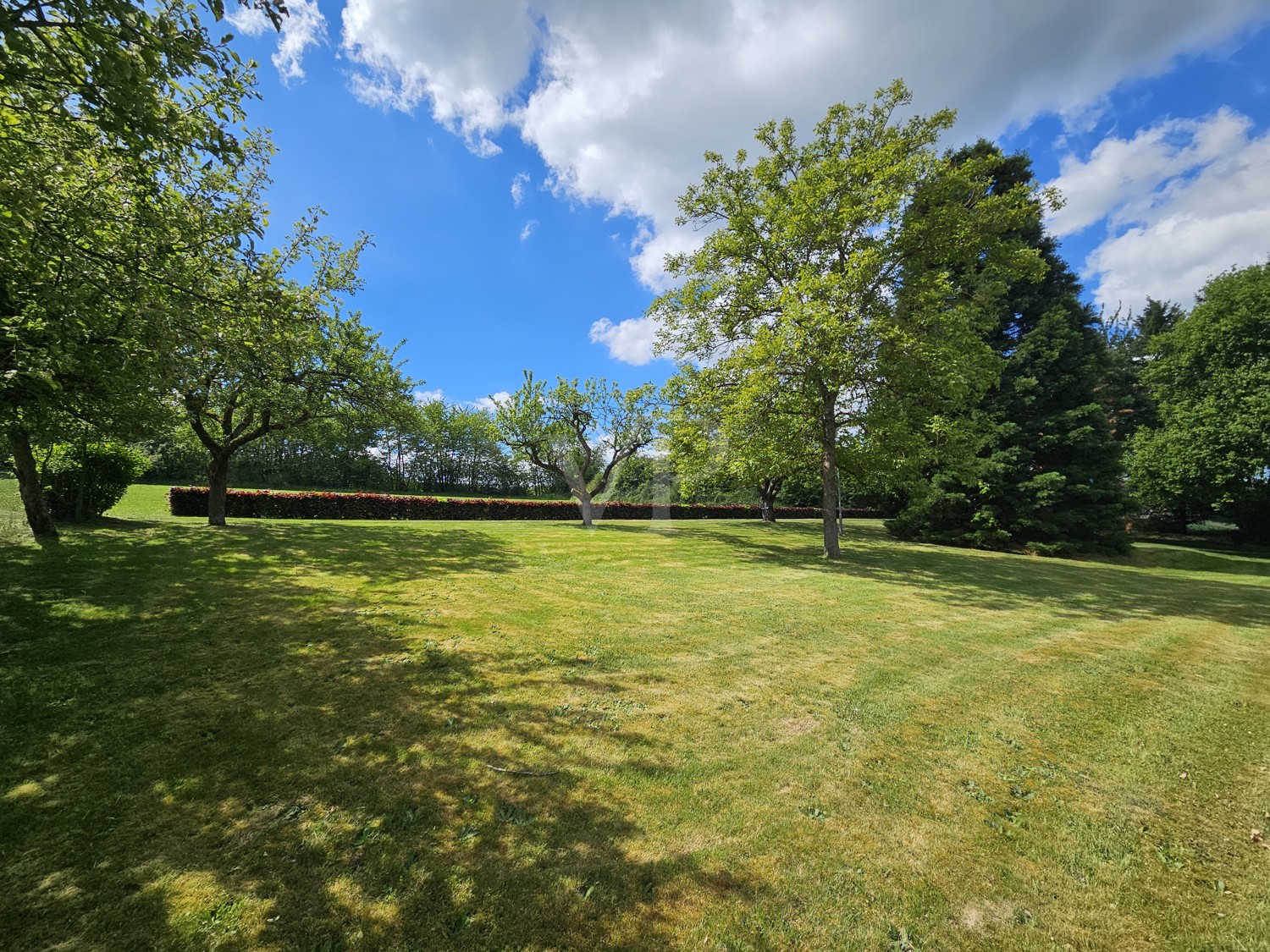 Gartenfläche