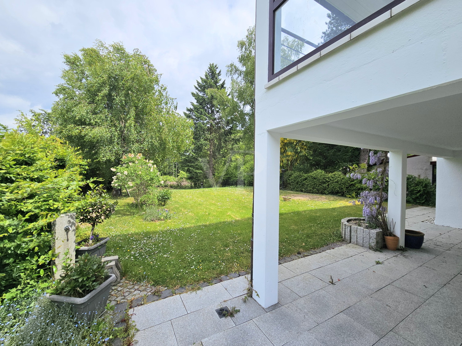 Blick in den Garten
