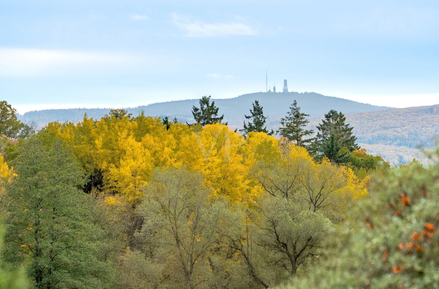 Panoramablick bis zum Feldberg
