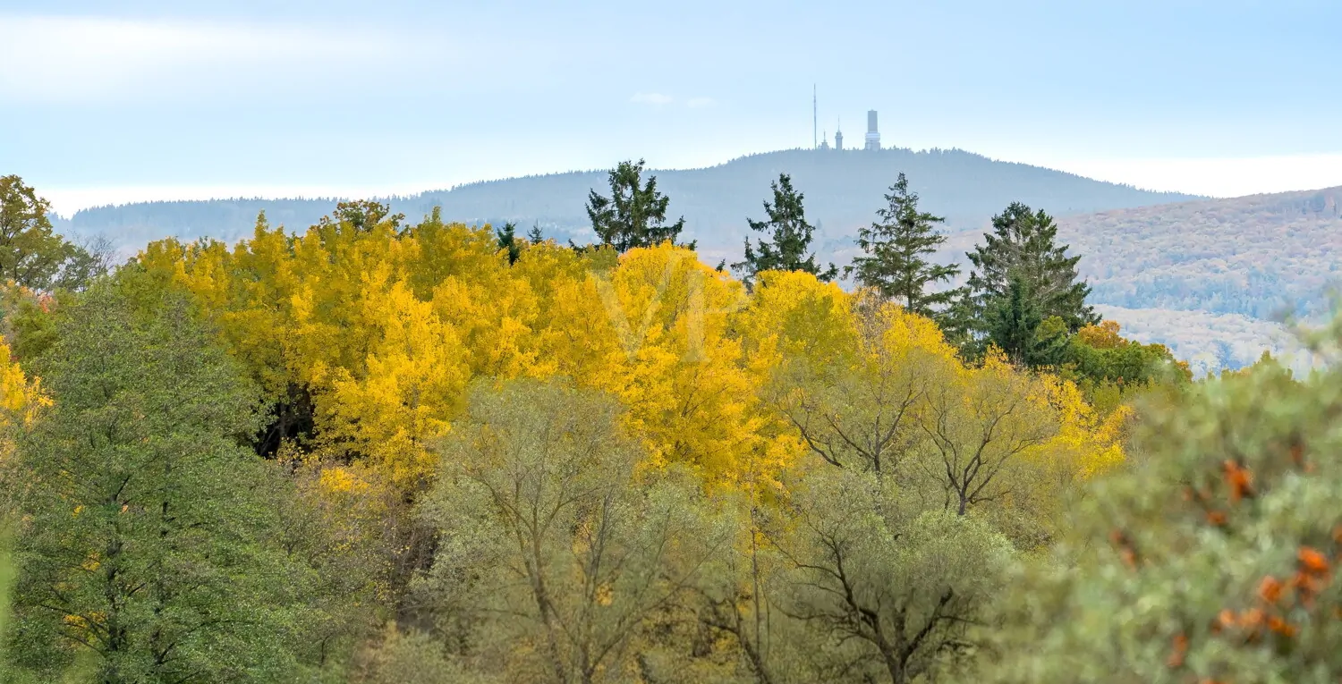 Panoramablick bis zum Feldberg