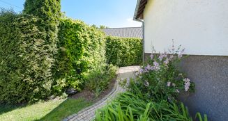 von_poll_real_estate_property_25141024_image_15