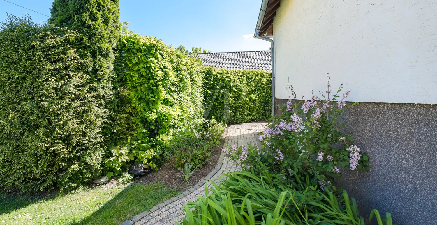 Gepflegte Außenanlage