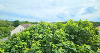 von_poll_real_estate_property_25141026a_image_18