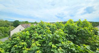 von_poll_real_estate_property_25141026_image_19