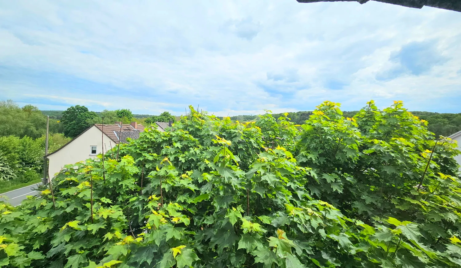 Blick aus dem Dachgeschoss